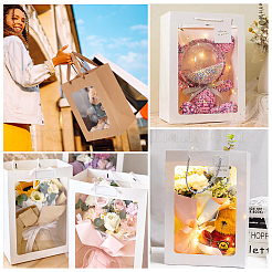 Paper Visible Window Gift Bags with Rope Handles&nbsp;ABAG-WH0040-14B