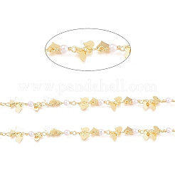 Brass Chains&nbsp;CHC-K009-13G-1