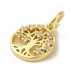 Brass Micro Pave Clear Cubic Zirconia Pendants&nbsp;KK-R162-002G