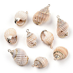 Electroplated Natural Spiral Shell Pendants&nbsp;SSHEL-T009-16-A01