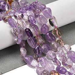Natural Ametrine Beads Strands&nbsp;G-P497-01E-50