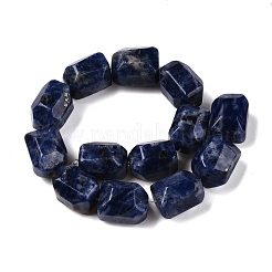 Natural Sodalite Beads Strands&nbsp;G-N342-145