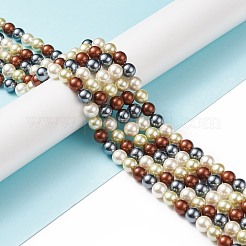 Shell Pearl Bead Strands&nbsp;BSHE-L017-18