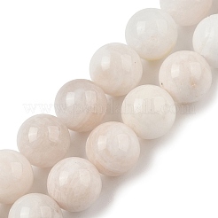 Natural Rainbow Moonstone Beads Strands&nbsp;LS-G-N328-024-10mm-AB