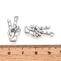 Tibetan Style Alloy Pendants&nbsp;TIBE-N014-26AS