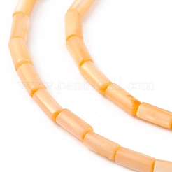 Natural Freshwater Shell Dyed Beads Strands&nbsp;SHEL-M018-11
