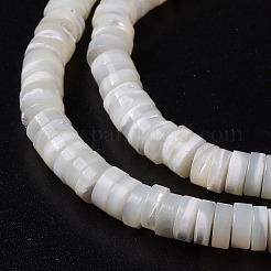 Natural Trochid Shell/Trochus Shell Beads Strands&nbsp;SHEL-P015-12