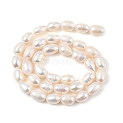 Natural Cultured Freshwater Pearl Beads Strands&nbsp;PEAR-I007-01C-02A