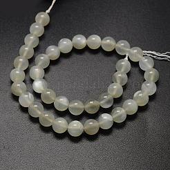 Round Natural White Moonstone Bead Strands&nbsp;G-L425-22-10mm