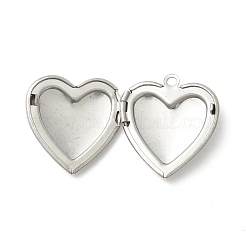 Non-Tarnish 304 Stainless Steel Diffuser Locket Pendants&nbsp;LS-STAS-K002-07P