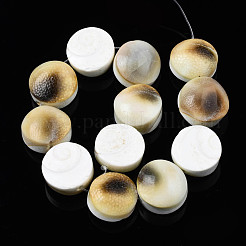Natural Trumpet Shell Bead Strands&nbsp;SSHEL-N034-113