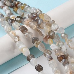 Natural Botswana Agate Beads Strands&nbsp;G-D081-A03