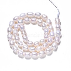 Natural Cultured Freshwater Pearl Beads Strands&nbsp;PEAR-N012-06E-1