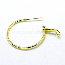 Brass Hoop Earrings&nbsp;X-EC259-G