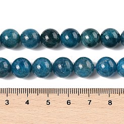 Round Natural Apatite Beads Strands&nbsp;G-K068-04-10mm