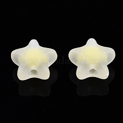 Transparent Acrylic Beads&nbsp;TACR-N011-001A-02