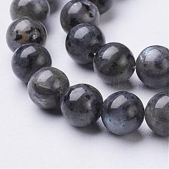 Natural Larvikite Beads Strands&nbsp;GSR8mmC128