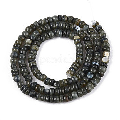 Natural Freshwater Shell Dyed Beads Strands&nbsp;SHEL-T020-29A