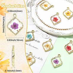 10Pcs 5 Colors Zinc Alloy Epoxy Resin Pendants&nbsp;FIND-CJ0004-93