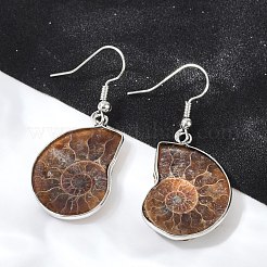 Fossil Spiral Dangle Earrings&nbsp;EJEW-P153-01