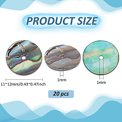 20Pcs Natural Paua Shell Beads&nbsp;SSHEL-BC0001-31