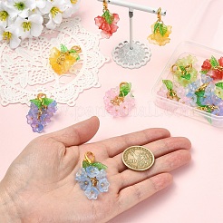 12Pcs 6 Styles Transparent Two Tone Spray Painted Glass with Acrylic Pendant Decorations&nbsp;HJEW-YW00381