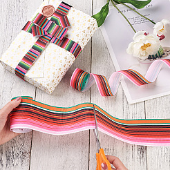 2Rolls 2 Styles Stripe Pattern Printed Polyester Grosgrain Ribbon&nbsp;OCOR-TA0001-37O