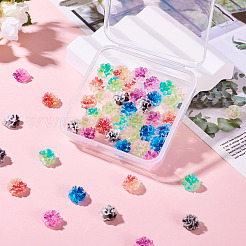 60Pcs 6 Colors Resin Cabochons&nbsp;MRMJ-TA0001-42