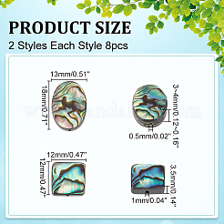 16Pcs 2 Colors Natural Abalone Shell/Paua Shell Beads Strands&nbsp;BSHE-WR0001-01