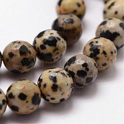 Natural Dalmatian Jasper Beads Strands&nbsp;G-D840-49-8mm