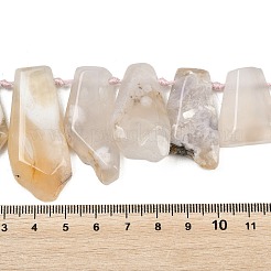 Natural Cherry Blossom Agate Beads Strands&nbsp;G-B187-B02-01
