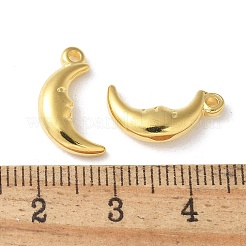 304 Stainless Steel Pendants&nbsp;STAS-I330-060G