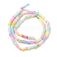 Rainbow Color Dyed Natural Freshwater Shell Beads Strands&nbsp;X1-SHEL-G018-02C