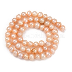 Natural Cultured Freshwater Pearl Beads Strands&nbsp;PEAR-I007-07Y-01B