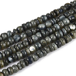 Natural Freshwater Shell Dyed Beads Strands&nbsp;SHEL-T020-29A