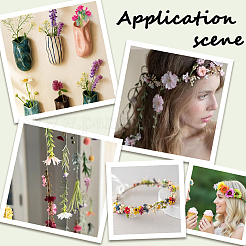 180Pcs 15 Colors Gesso Artificial Flower&nbsp;DIY-SP0006-16