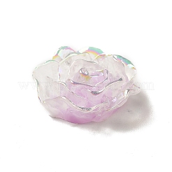 Transparent Resin Cabochons&nbsp;CRES-M014-17