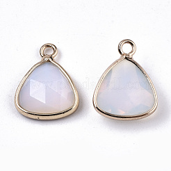 Opalite Charms&nbsp;G-N326-48F