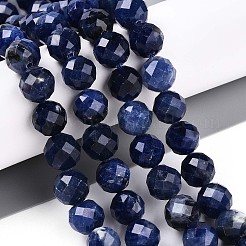 Natural Sodalite Beads Strands&nbsp;G-S345-10mm-26