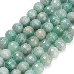 Natural Amazonite Beads Strands&nbsp;G-C280-B13-8mm