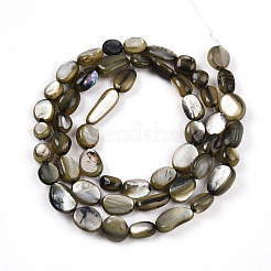 Natural White Shell Beads Strands&nbsp;SHEL-N036-21A
