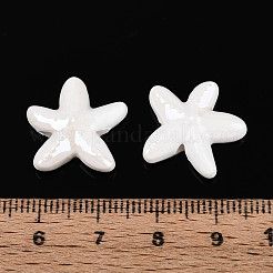 Handmade Porcelain Beads&nbsp;X-PORC-Q002-02E-01