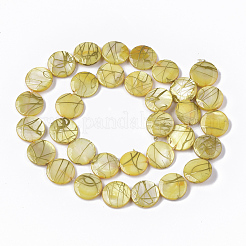 Drawbench Freshwater Shell Beads Strands&nbsp;SHEL-T014-012G