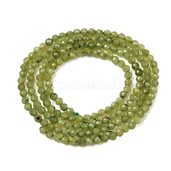 Natural Canadian Jade Beads Strands&nbsp;G-G259-D02-2mm