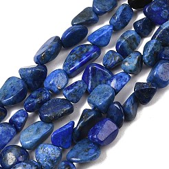 Natural Lapis Lazuli Beads Strands&nbsp;G-P597-B01-01