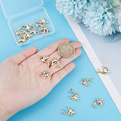 20Pcs Brass Pendants&nbsp;KK-BBC0002-91