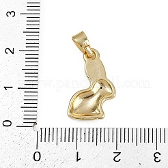 Brass Micro Pave Cubic Zirconia Pendants&nbsp;KK-D409-30G