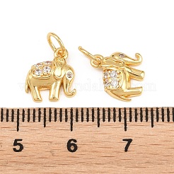 Brass Micro Pave Clear Cubic Zirconia Charms&nbsp;KK-H292-56B-G