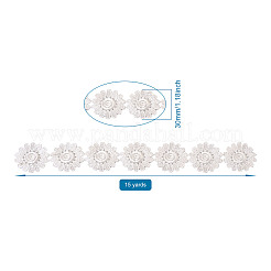 Polyester Lace Trim&nbsp;OCOR-TAC0008-18
