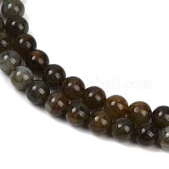 Natural Labradorite Beads Strands&nbsp;G-I253-01-8mm